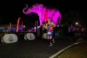 BIB: 
                            <button type="button" onclick="openModal(26534935)" class="btn btn-primary btn-sm float-right btn-popup" data-toggle="modal" data-target=".modal-high-quality">
                        <i class="fas fa-shopping-cart"></i> Add to Cart
                    </button>
                                            <button type="button" onclick="isThisMe(26534935, true)" class="btn btn-success btn-sm float-right btn-popup btn-isme hidden" data-toggle="tooltip" data-placement="bottom" title="นี่คือรูปของคุณใช่ไหม คลิกที่นี่เพื่อเอาเข้าอัลบั้ม">
                        <i class="fas fa-plus"></i> Add to album
                    </button>
                    <button type="button" onclick="isThisMe(26534935, false)" class="btn btn-warning btn-sm float-right btn-popup btn-isnotme hidden">
                        <i class="fas fa-ban"></i> Remove from album
                    </button>